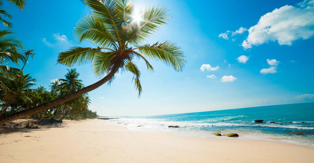 Which Tropical Destination Should You Escape To This Winter? | MagiQuiz